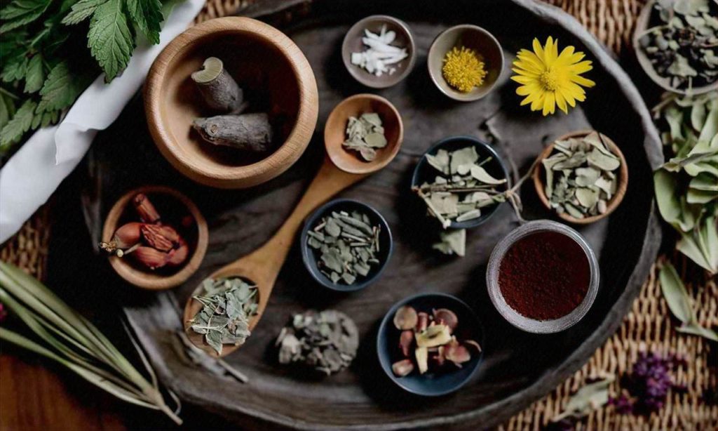 Exploring Traditional Herbal Medicine Around the World