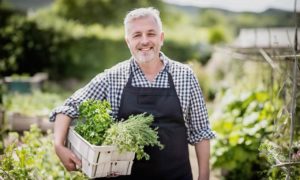 How to Harvest and Store Your Garden Herbs