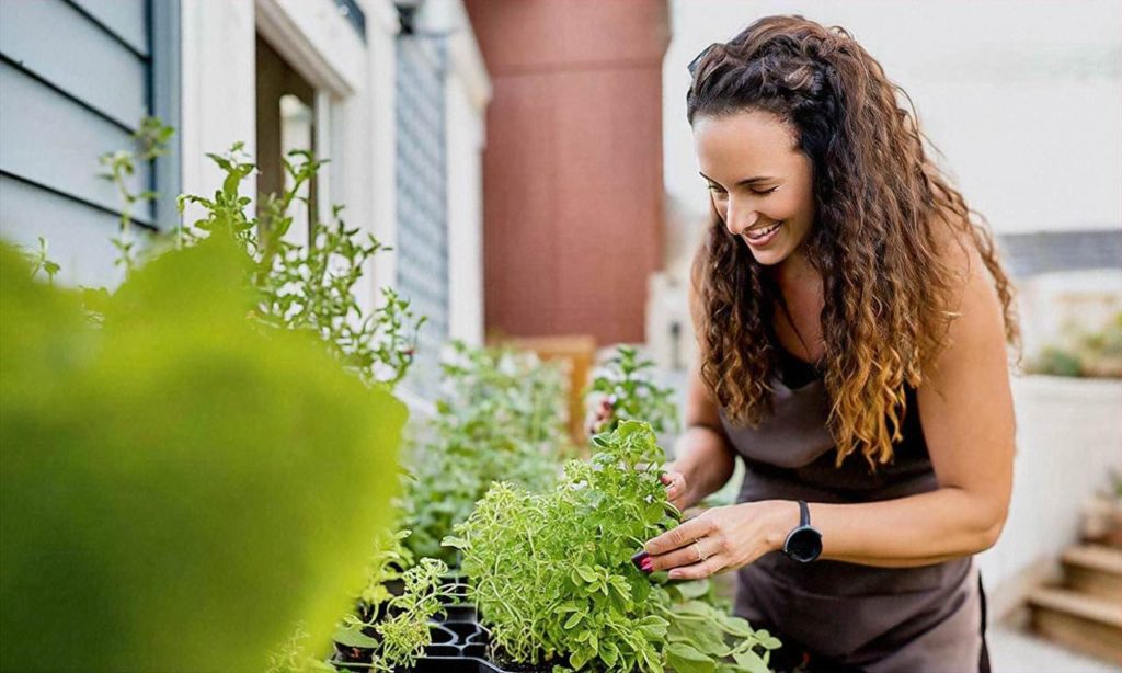 Maximize Your Space: Tips for Urban Herb Gardening