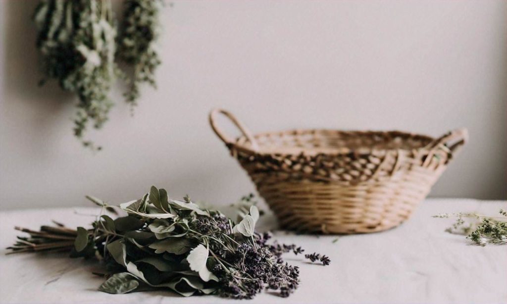 Preserving the Bounty: How to Dry and Store Herbs