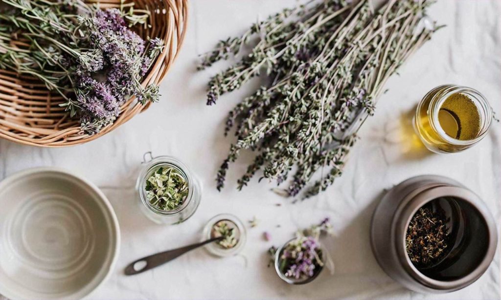 Preserving the Bounty: How to Dry and Store Herbs