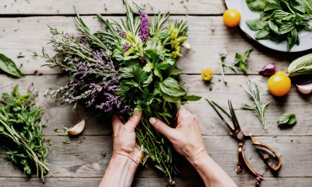 Savor the Seasons: Fresh Herb Recipes for Spring, Summer, Fall, and Winter